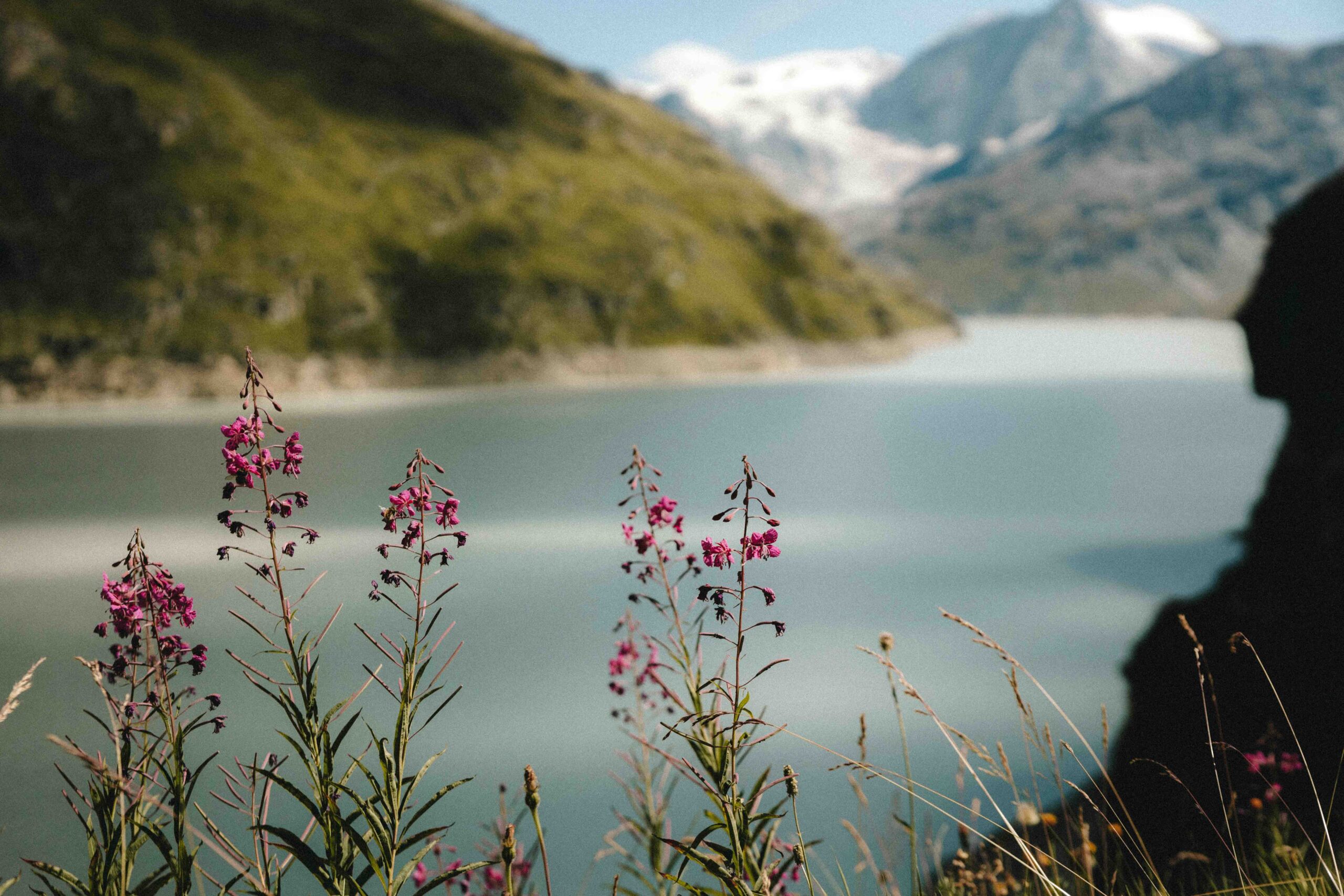 Nada-Brahma-Retreats_Wallis-24